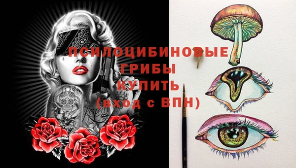 герыч Алексин