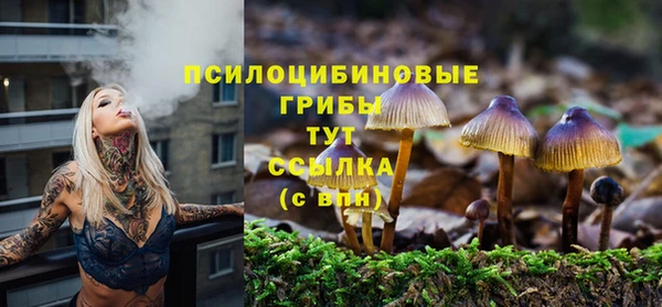 герыч Алексин