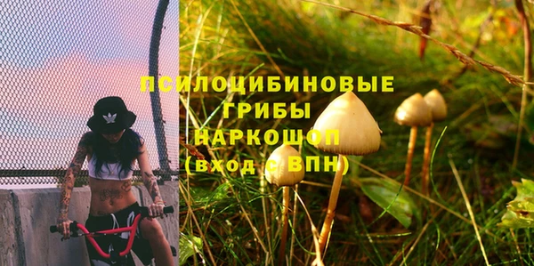 тгк Алексеевка