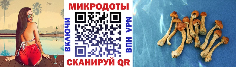 Галлюциногенные грибы мицелий  что такое наркотик  Лабинск 