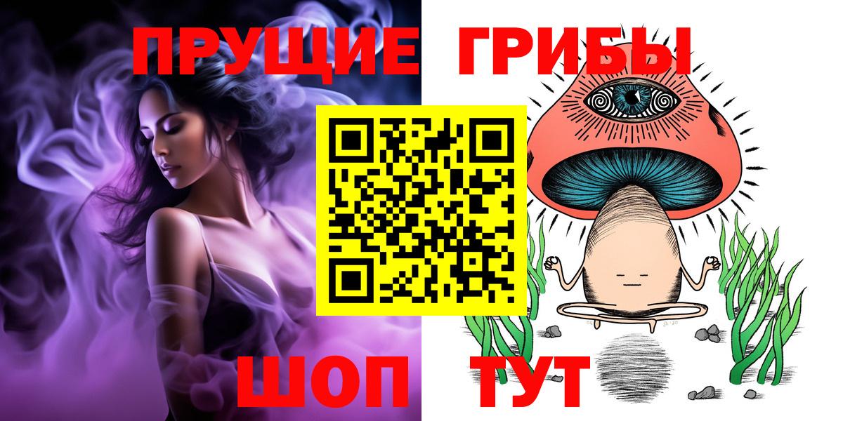 Псилоцибиновые грибы Cubensis Лабинск